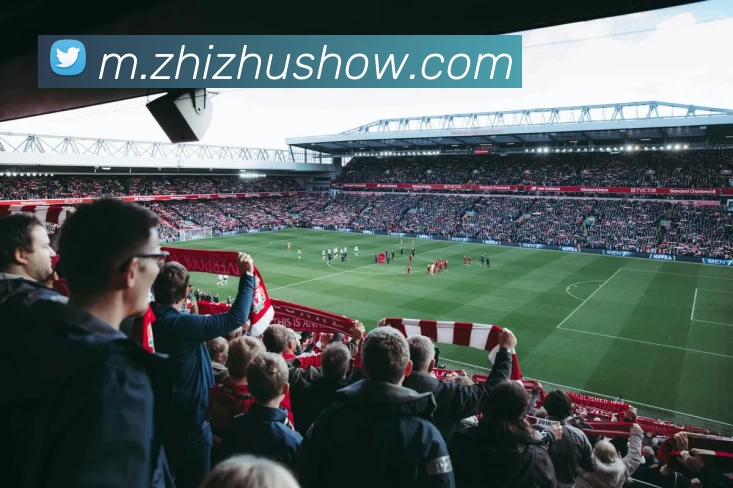 蜘蛛直播APP 体育赛事宣传图